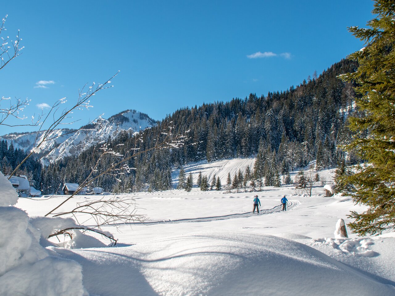 Loipe HiWa01-c-Christian Scheucher_TVGesaeuse