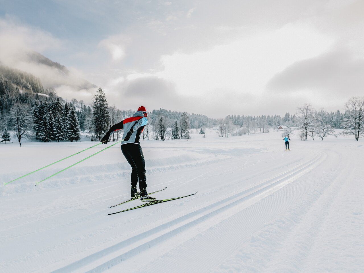 © stefanleitner.com | Stefan Leitner