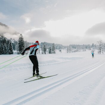 © stefanleitner.com | Stefan Leitner