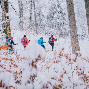 © thomassattler.at | Thomas Sattler