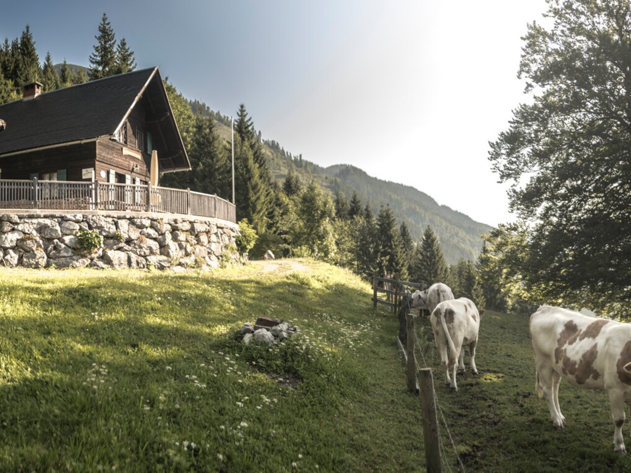 © www.stefanleitner.com