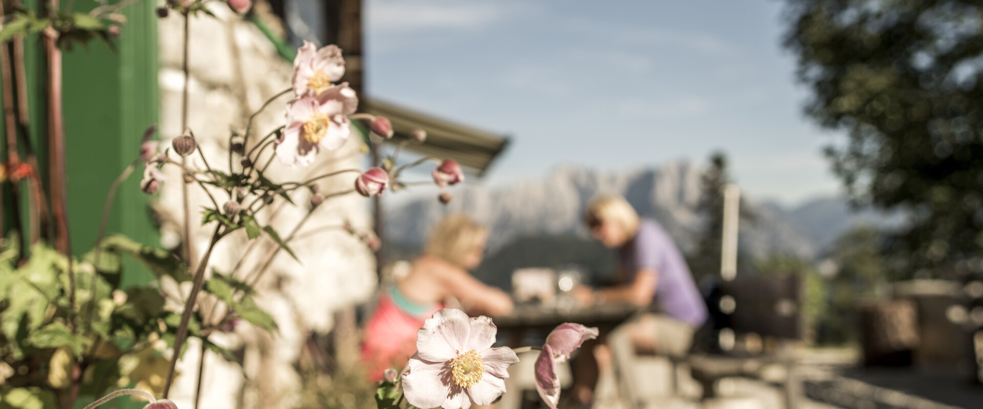 © www.stefanleitner.com