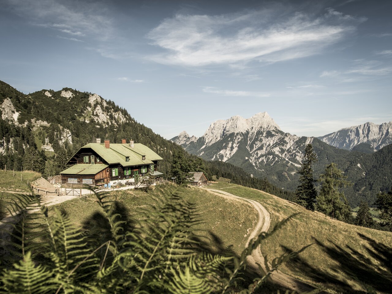 © www.stefanleitner.com