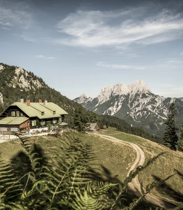 © www.stefanleitner.com