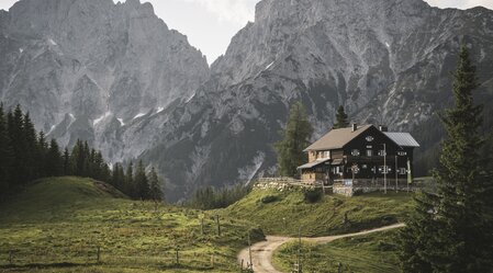 © www.stefanleitner.com