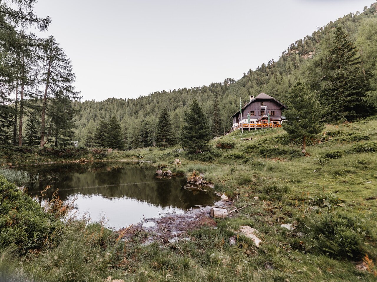 © THOMAS SATTLER | Thomas Sattler