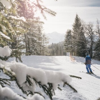 © stefanleitner.com | Stefan Leitner