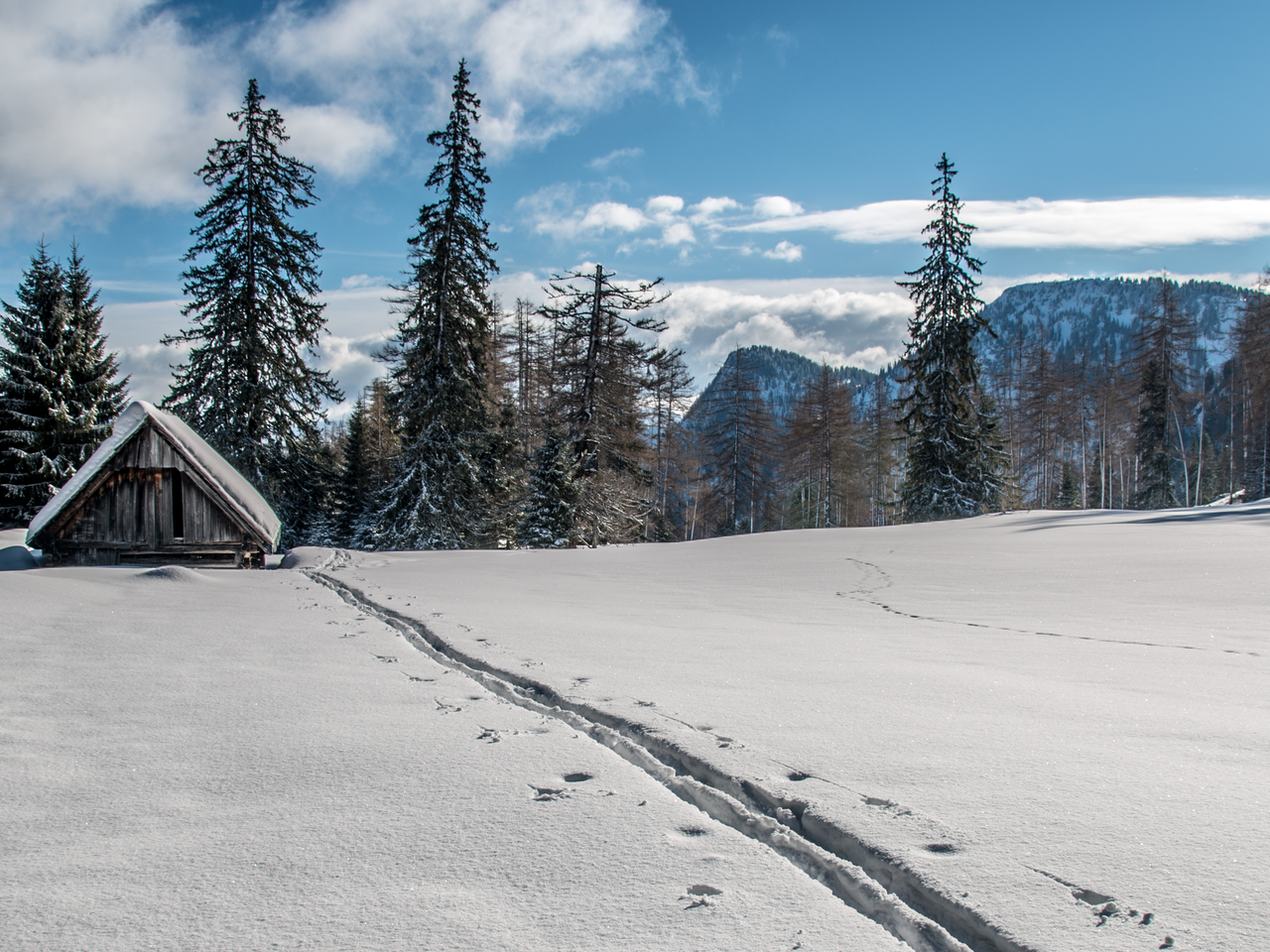 Adambaueralm004-©-Christian Scheucher_TVGesaeuse