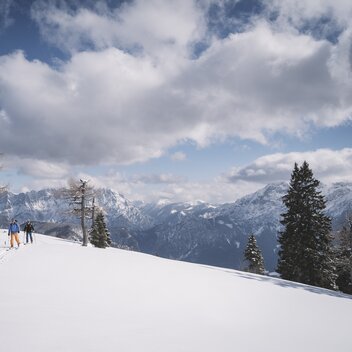 © www.stefanleitner.com