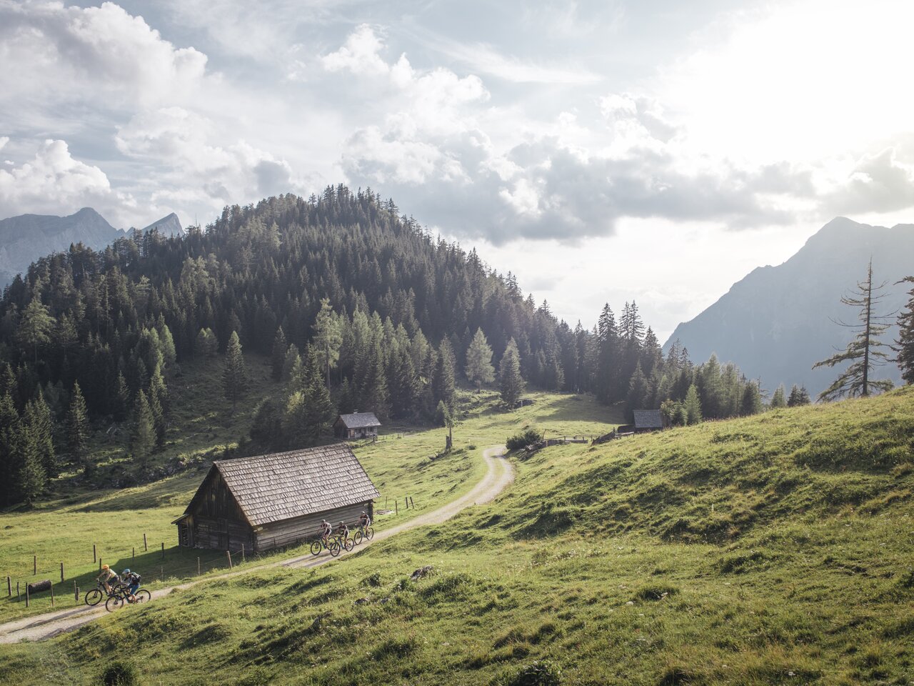 © stefanleitner.com | Stefan Leitner