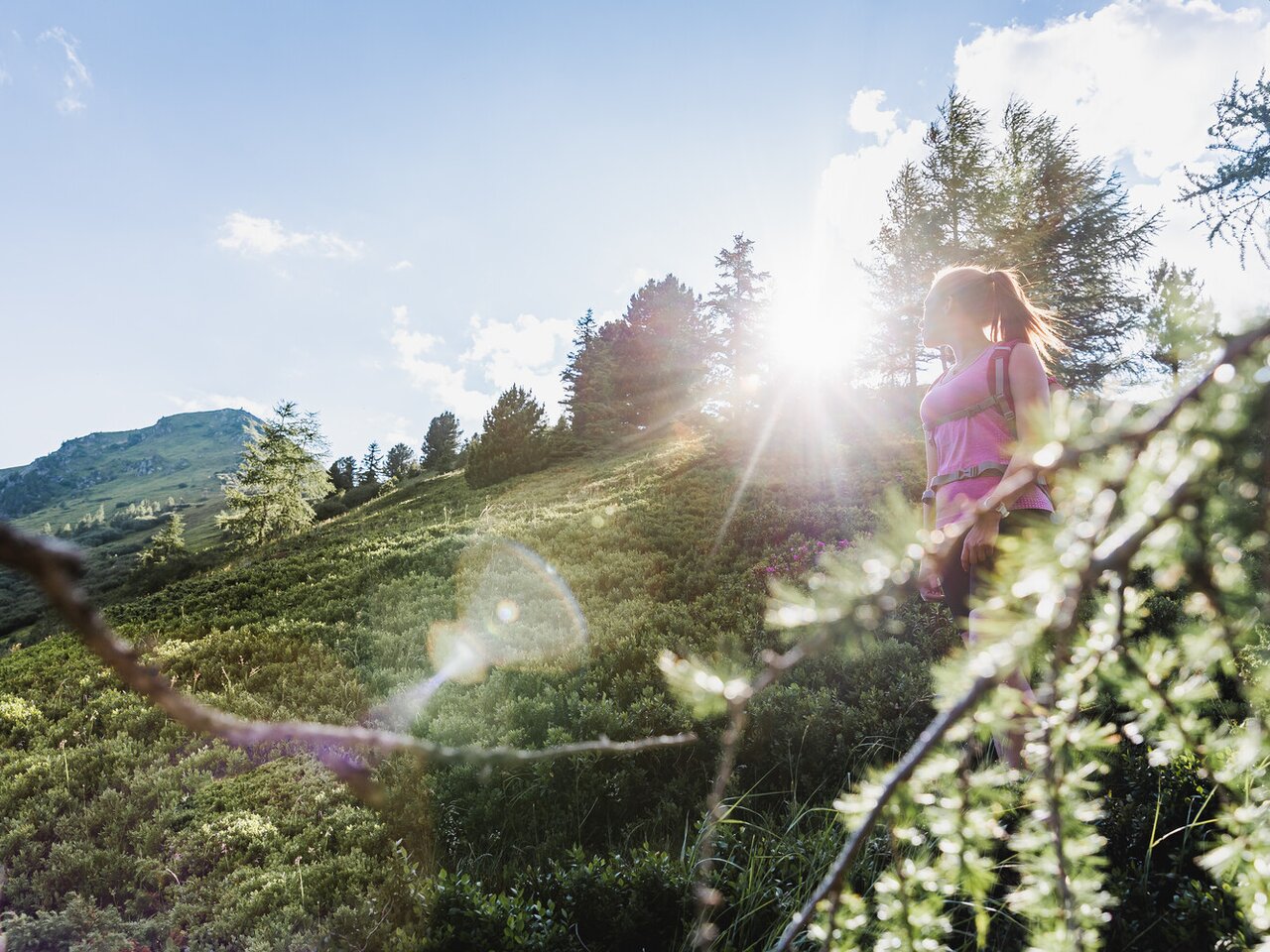 © THOMAS SATTLER | Thomas Sattler