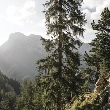 Wasserfallweg trail to Hesshütte  | © stefanleitner.com | Stefan Leitner