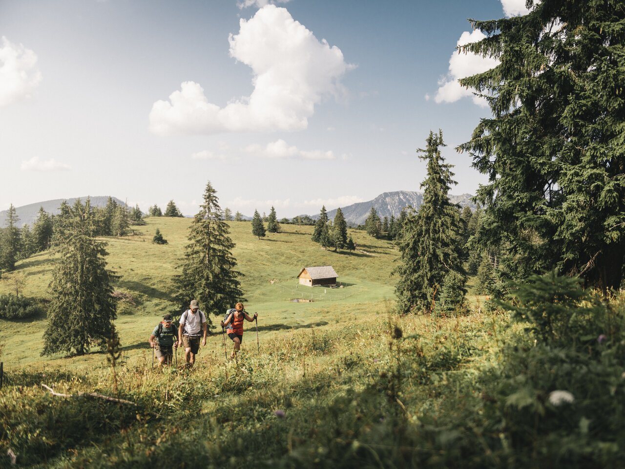 © stefanleitner.com