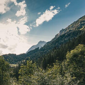 © thomas sattler photography | Thomas Sattler