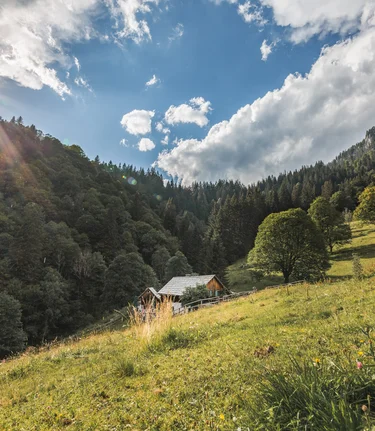 © thomas sattler photography | Thomas Sattler