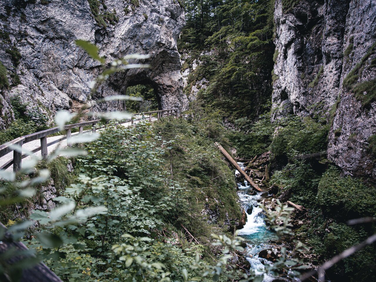 © thomas sattler photography | Thomas Sattler