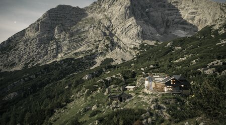 © www.stefanleitner.com | www.stefanleitner.com