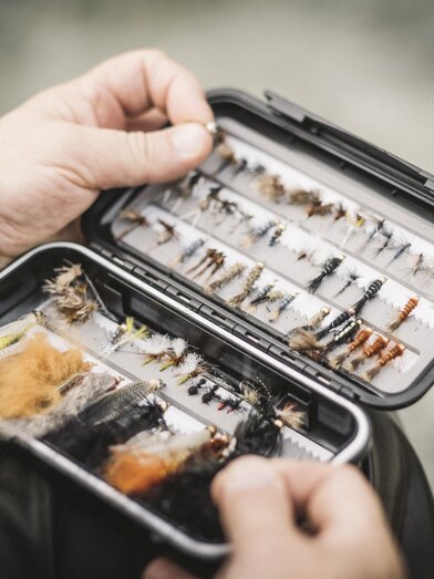 © www.stefanleitner.com