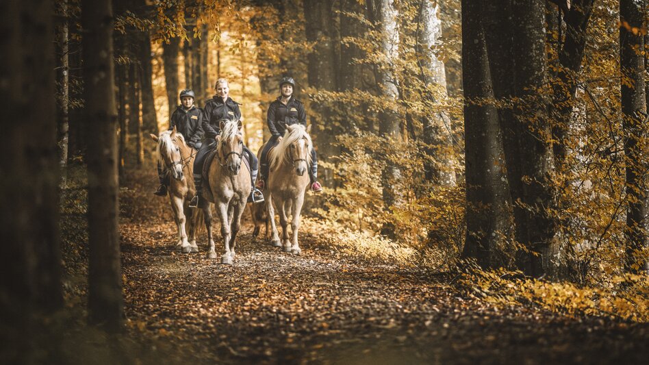 Sankt Gallen - Impression #2.2