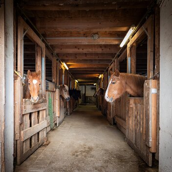 Andi Hollinger-7045 | ANDREAS HOLLINGER