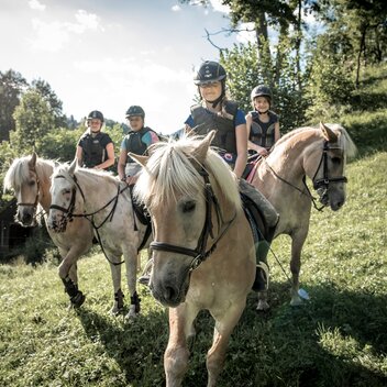 Haflingerhof_c-Stefan Leitner_Gesaeuse_8 | © www.stefanleitner.com |  