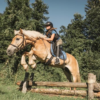 Haflingerhof_c-Stefan Leitner_Gesaeuse_10 | © www.stefanleitner.com |  