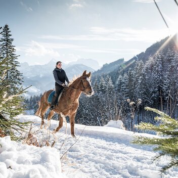 Laussabauer_c-Stefan Leitner_Gesaeuse_29 | © www.stefanleitner.com |  