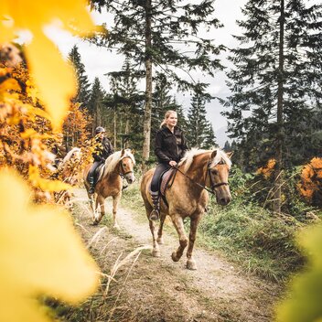 Laussabauer_c-Stefan Leitner_Gesaeuse_15 | © www.stefanleitner.com |  