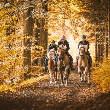 Laussabauer_c-Stefan Leitner_Gesaeuse_17 | © www.stefanleitner.com |  