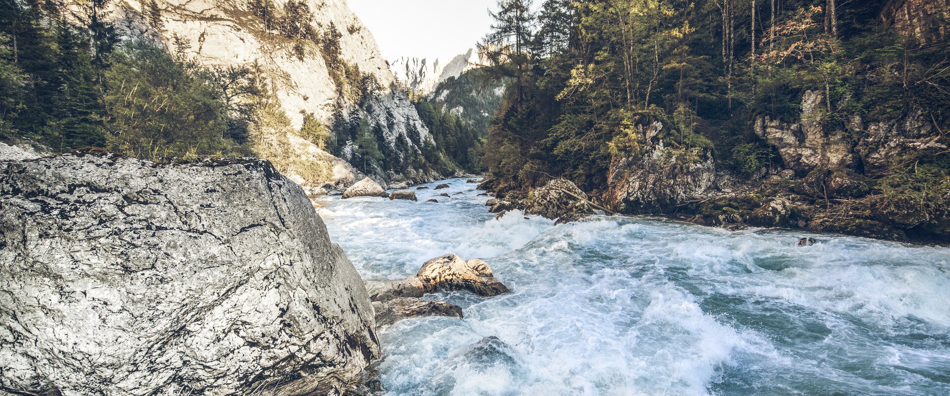 © www.stefanleitner.com