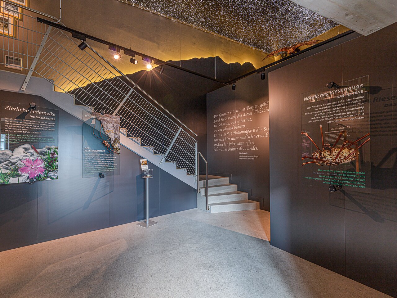 © thomassattler.at | Thomas Sattler