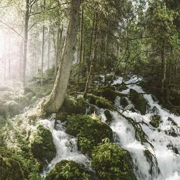 Kläferquelle | Stefan Leitner | © Stefan Leitner