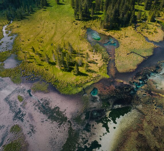 Wildalpen_c-Christoph_Lukas