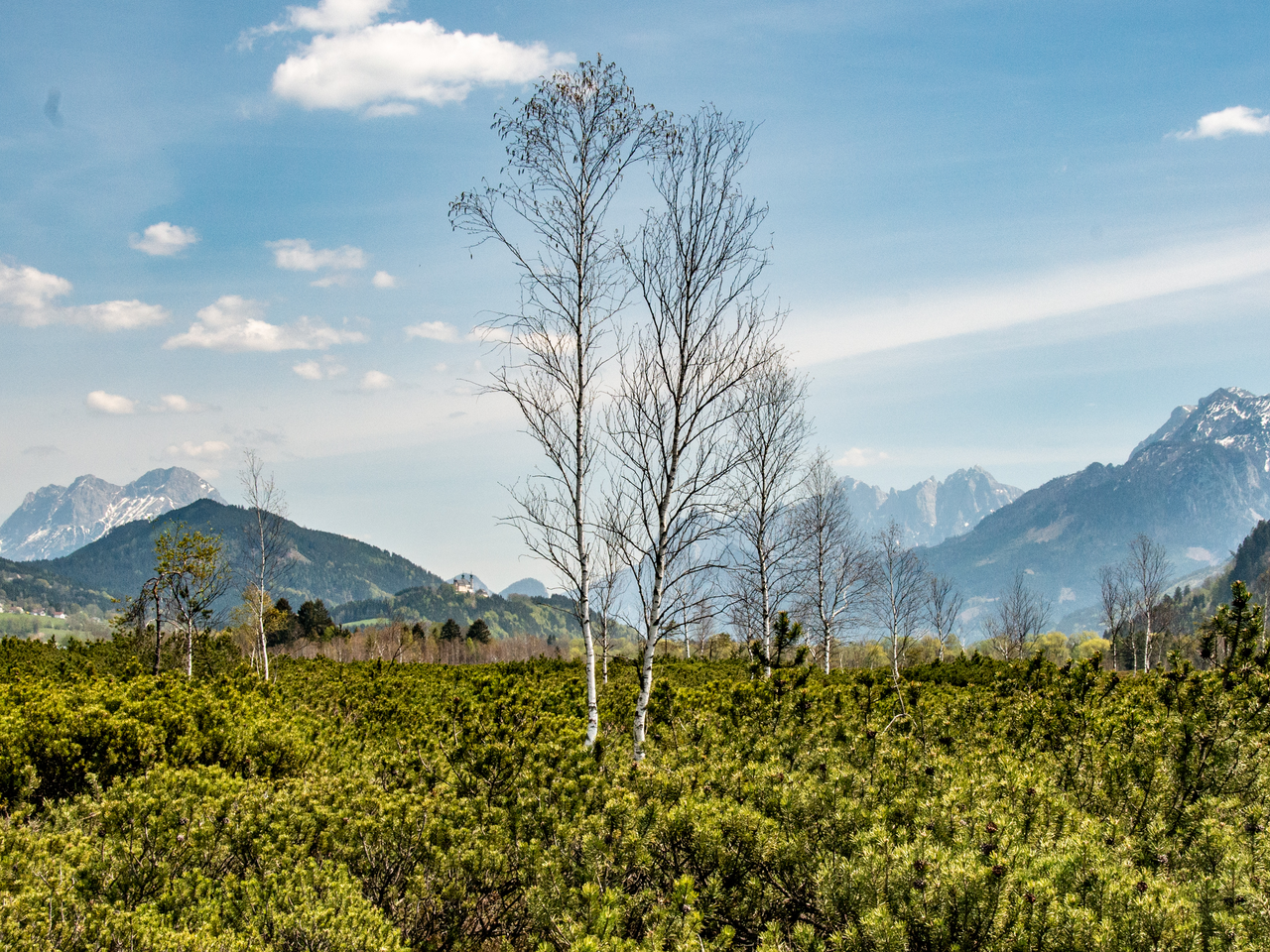 Pürgschachenmoor_c-Christian Scheucher_TVGesaeuse_2