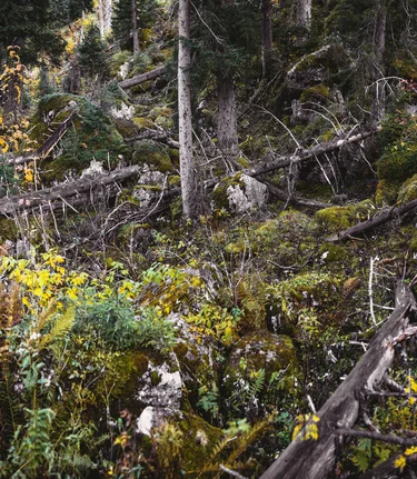 Nationalpark Gesäuse 2019_c-Stefan Leitner_Gesaeuse_56 | © stefanleitner.com | Stefan Leitner