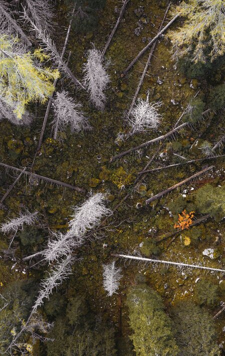 Nationalpark Gesäuse 2019_c-Stefan Leitner_Gesaeuse_39