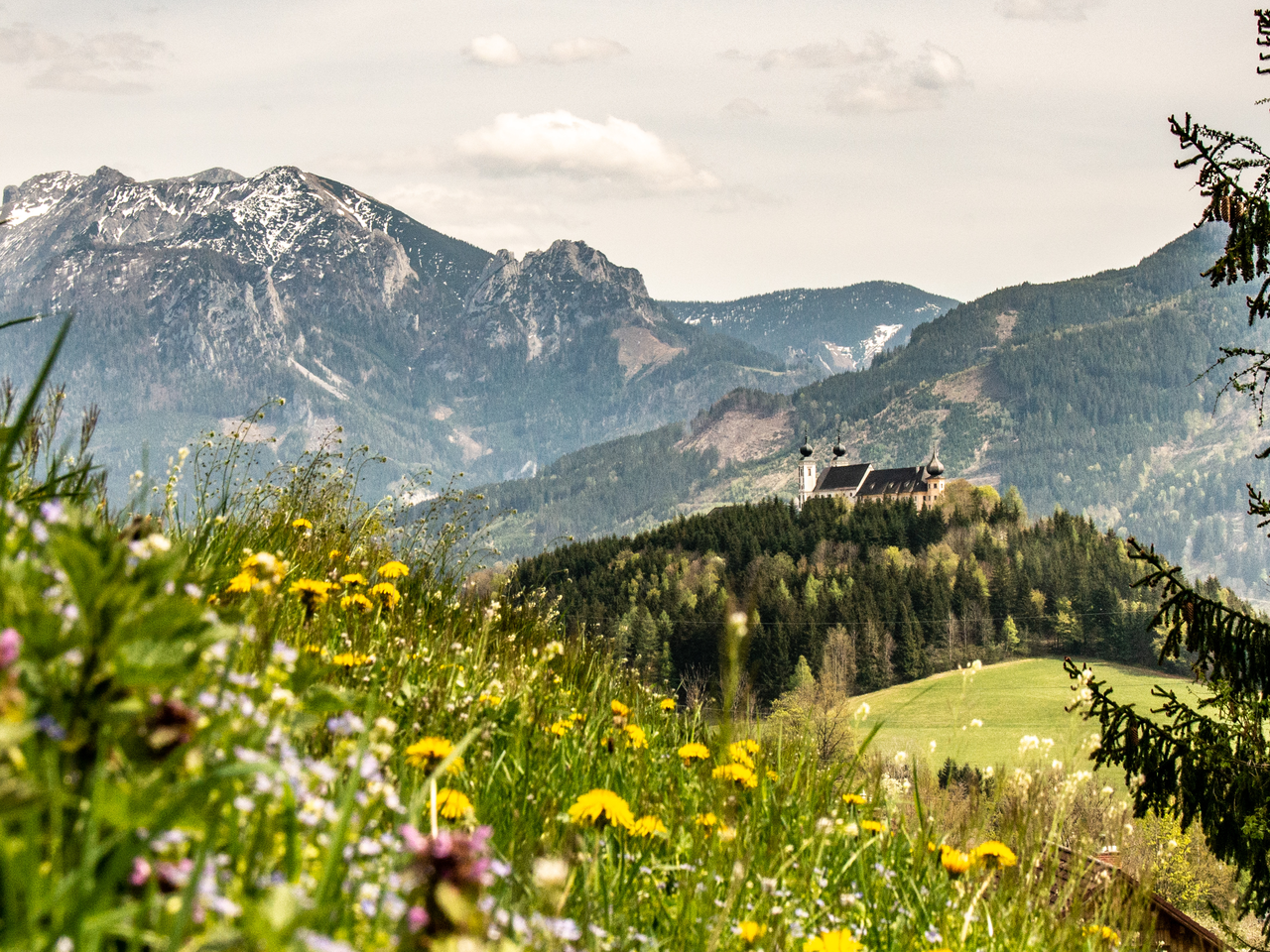 Ardningrunde016-c-Christian Scheucher_TVGesaeuse