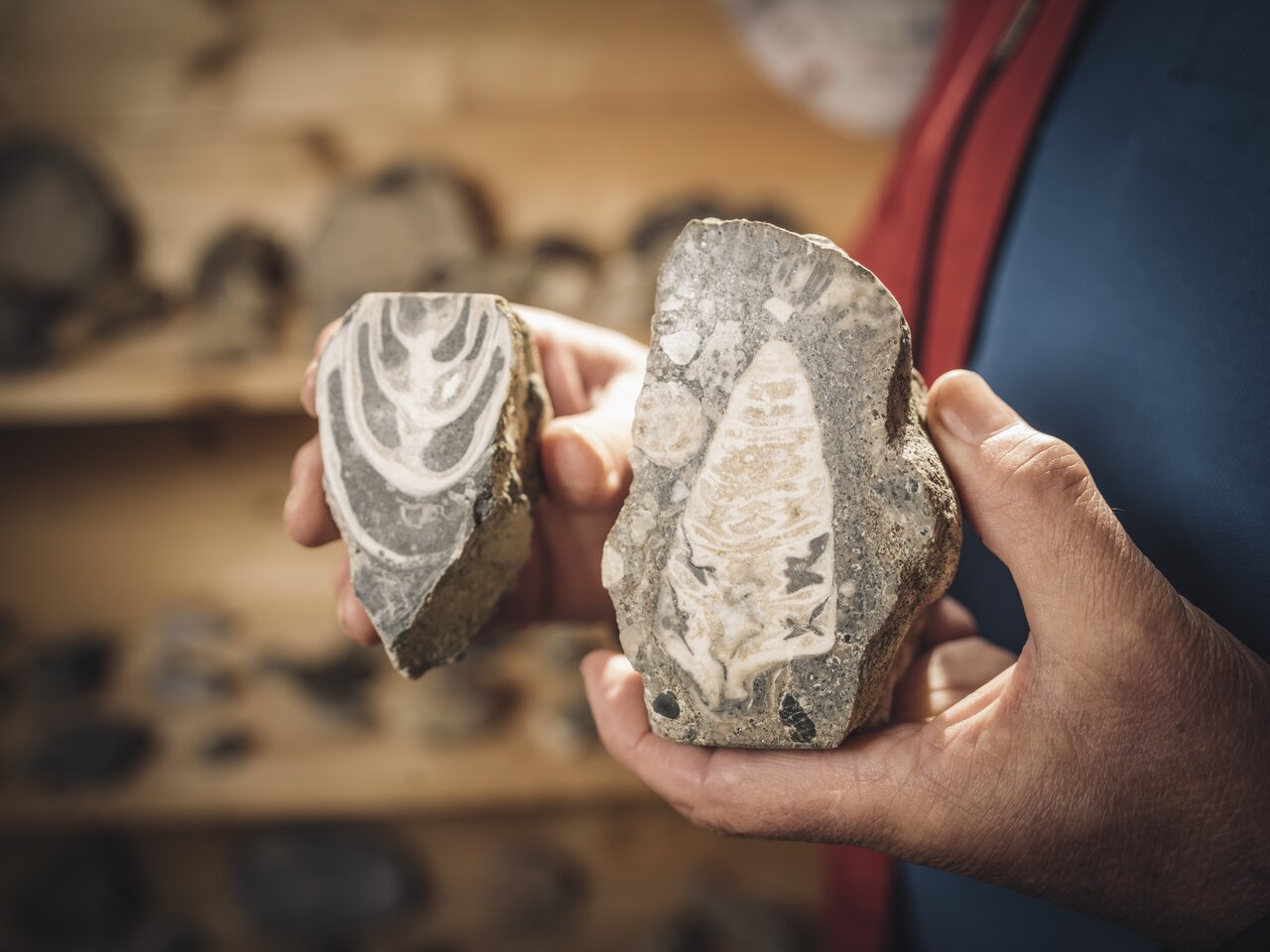 © www.stefanleitner.com