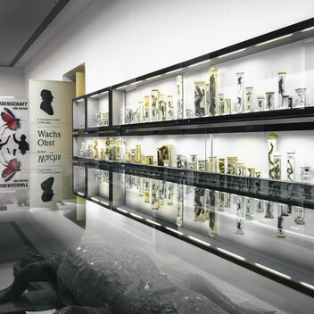 © www.stefanleitner.com