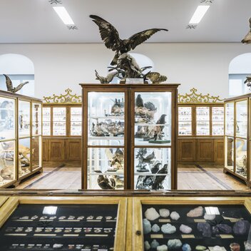 © www.stefanleitner.com