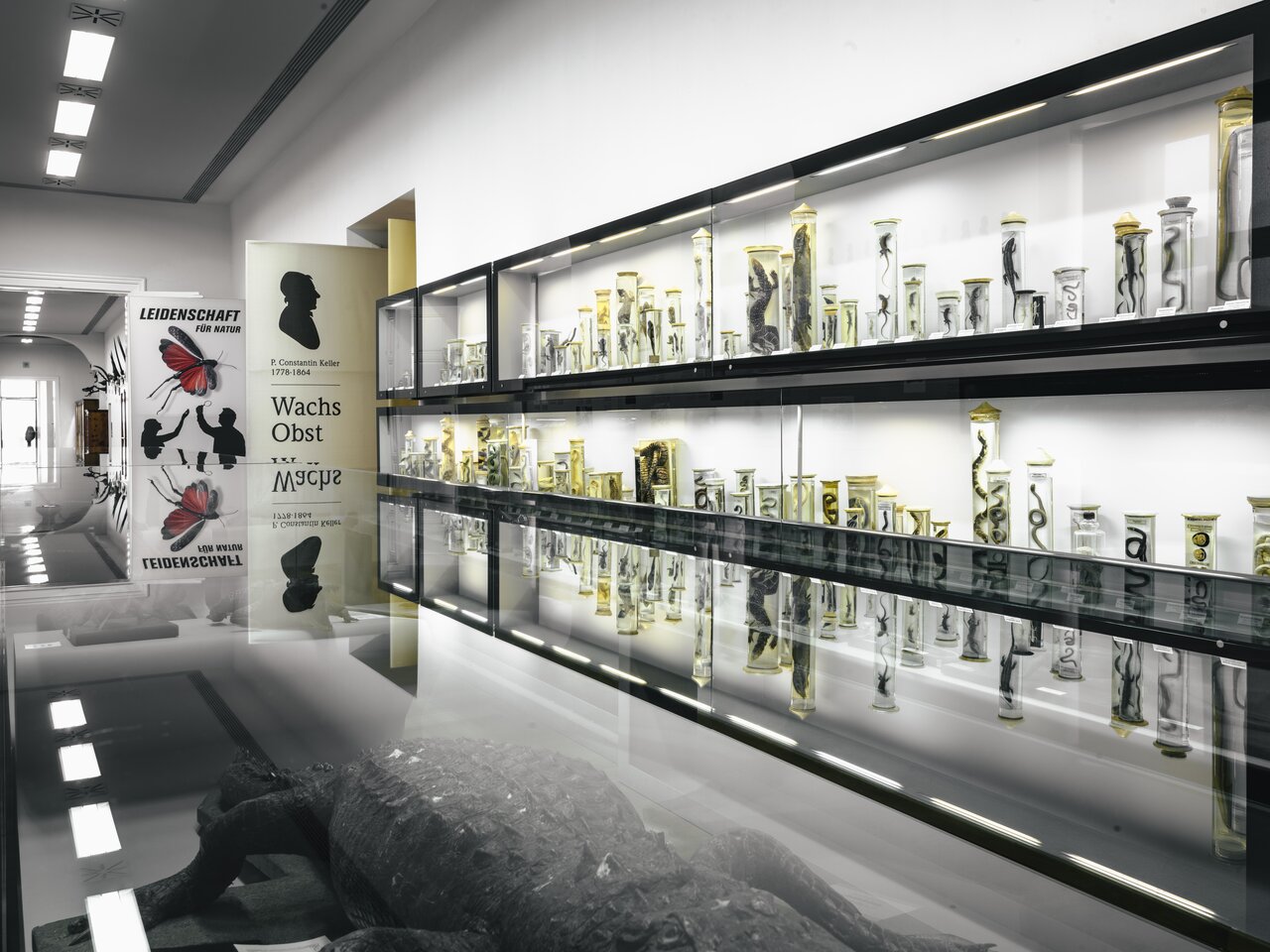 © www.stefanleitner.com