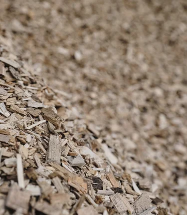 ©                                                                                                                                  | THOMAS SATTLER