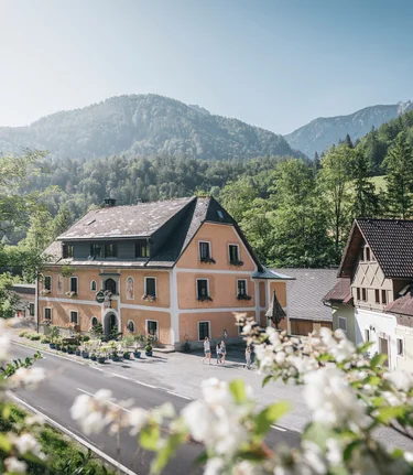 © stefanleitner.com