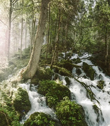 Kläfferquelle_c-Stefan Leitner_Gesaeuse_13 | © stefanleitner.com | Stefan Leitner