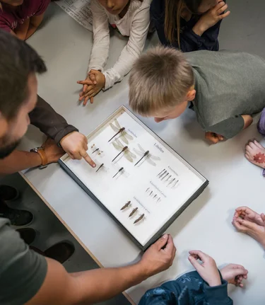 Biodiversitäten_Naturpark_c-Stefan Leitner_Gesaeuse_53 | © stefanleitner.com