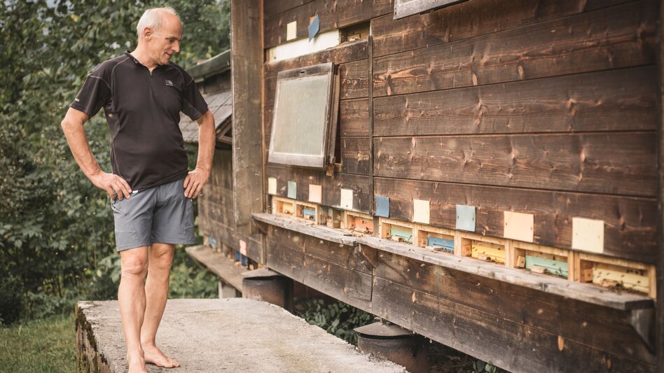 Ferienhaus & Imker Weissensteiner_c-Stefan Leitner_Gesaeuse_12 | © www.stefanleitner.com