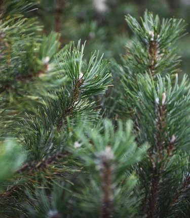 Nationalpark Gesäuse 2019_c-Stefan Leitner_Gesaeuse_155 | © stefanleitner.com | Stefan Leitner