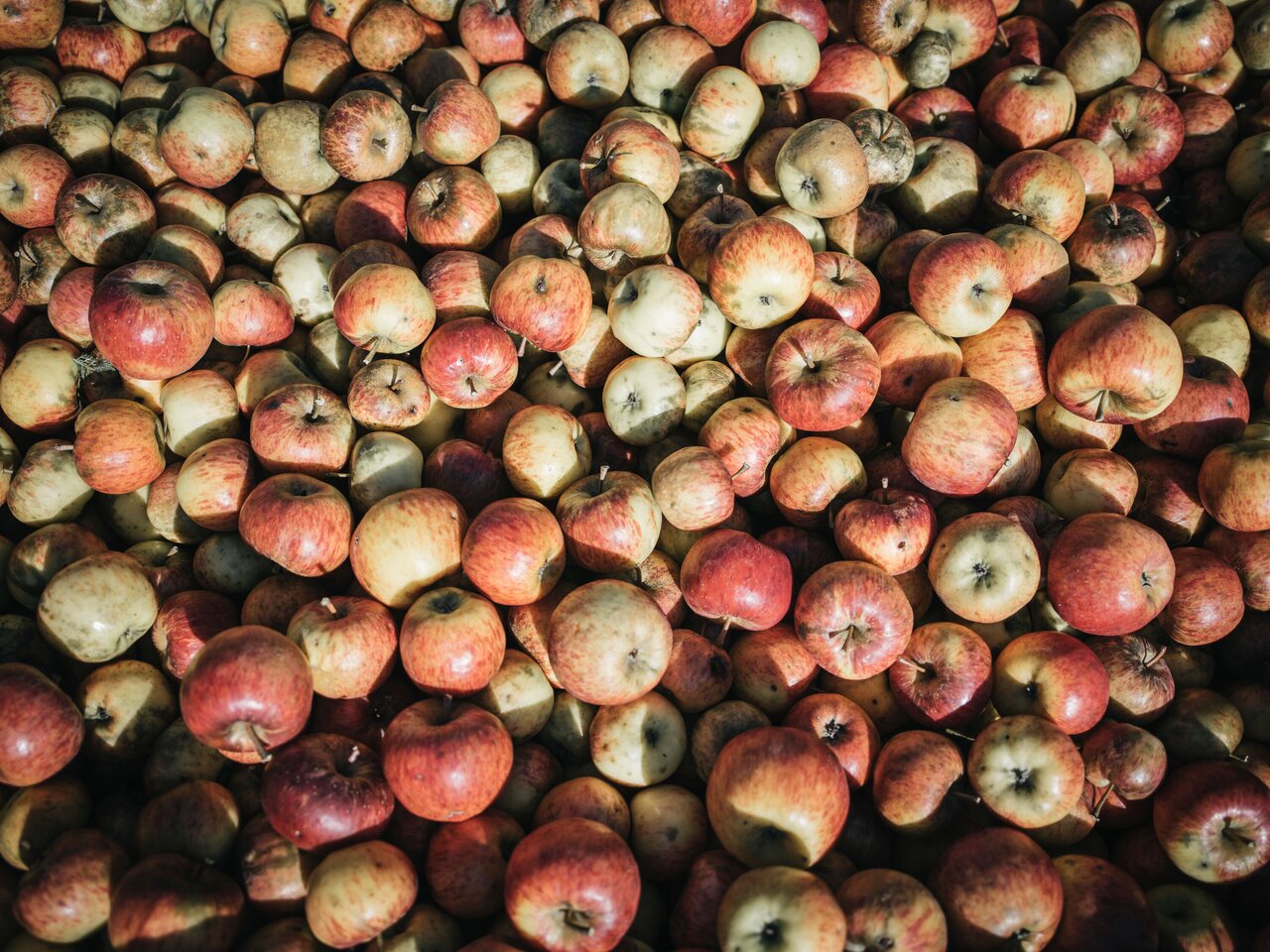 Veitlbauer_c-Stefan Leitner_Gesaeuse_11 | © www.stefanleitner.com