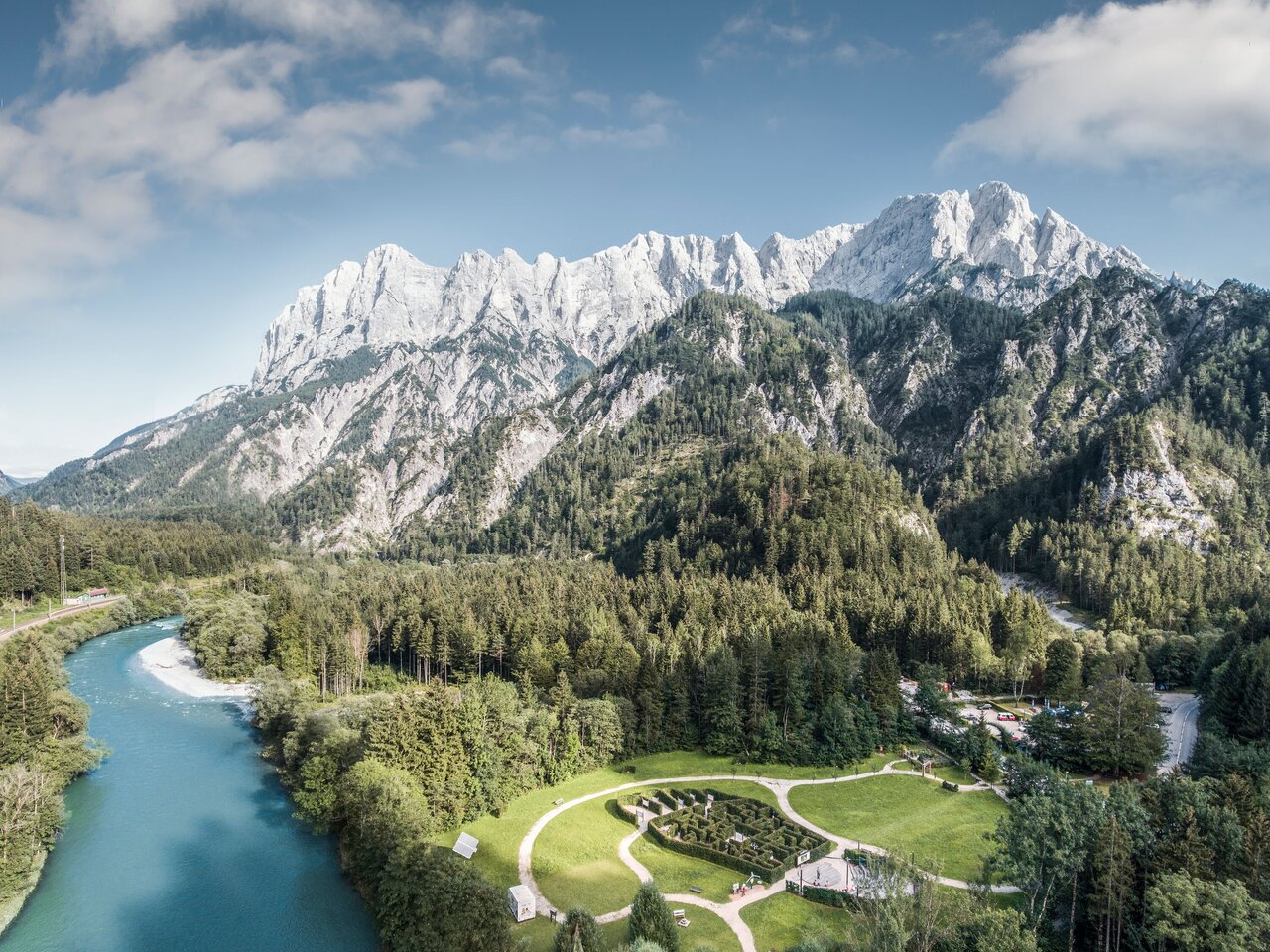 Weidendom_c-Stefan Leitner_Gesaeuse_1