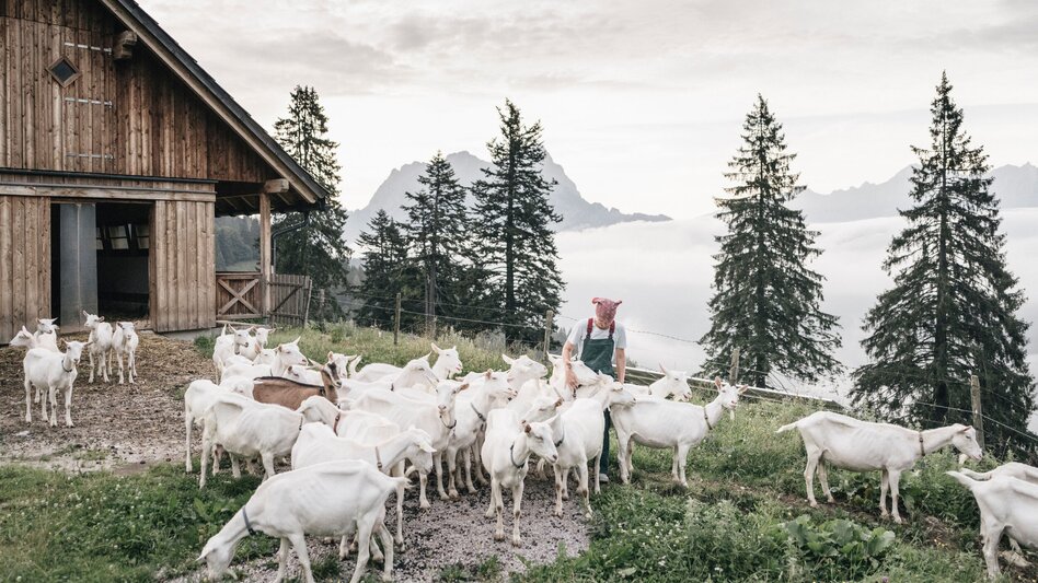 Grabneralm_c-Stefan Leitner_Gesaeuse_10 | © www.stefanleitner.com